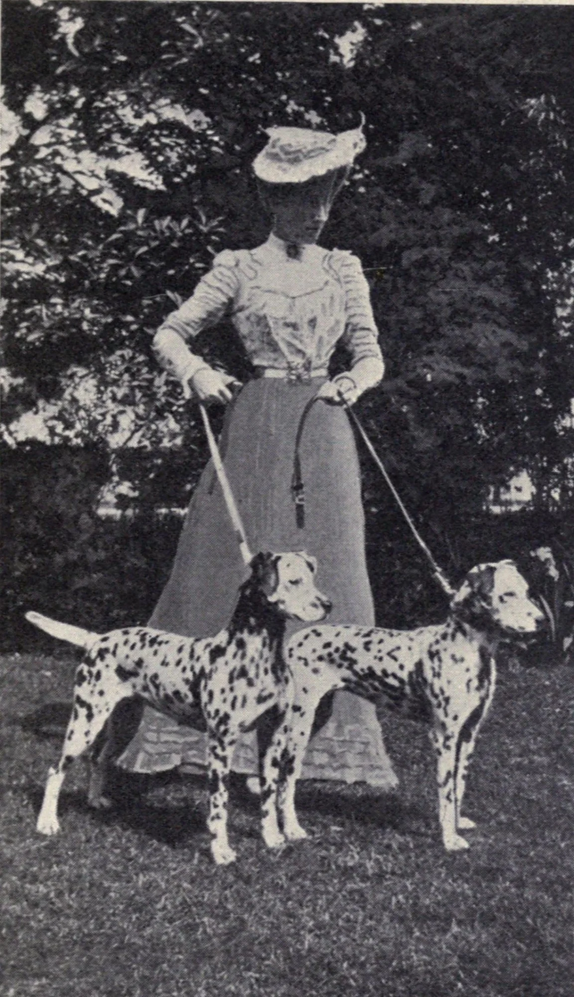 Mrs. Bedwell с двете си далматинки, шампионката Rugby Bridget и Rugby Bashful, снимка от 1902 г.