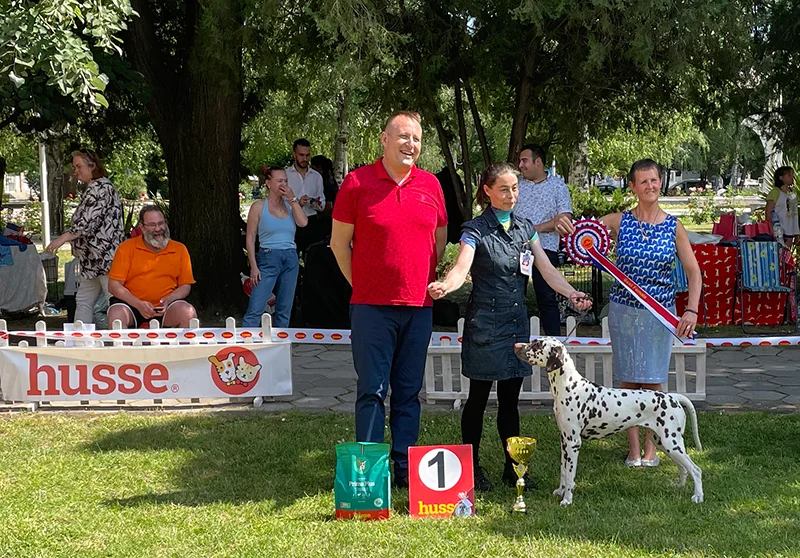 Dalmatian Club Show, Parvomay 2022